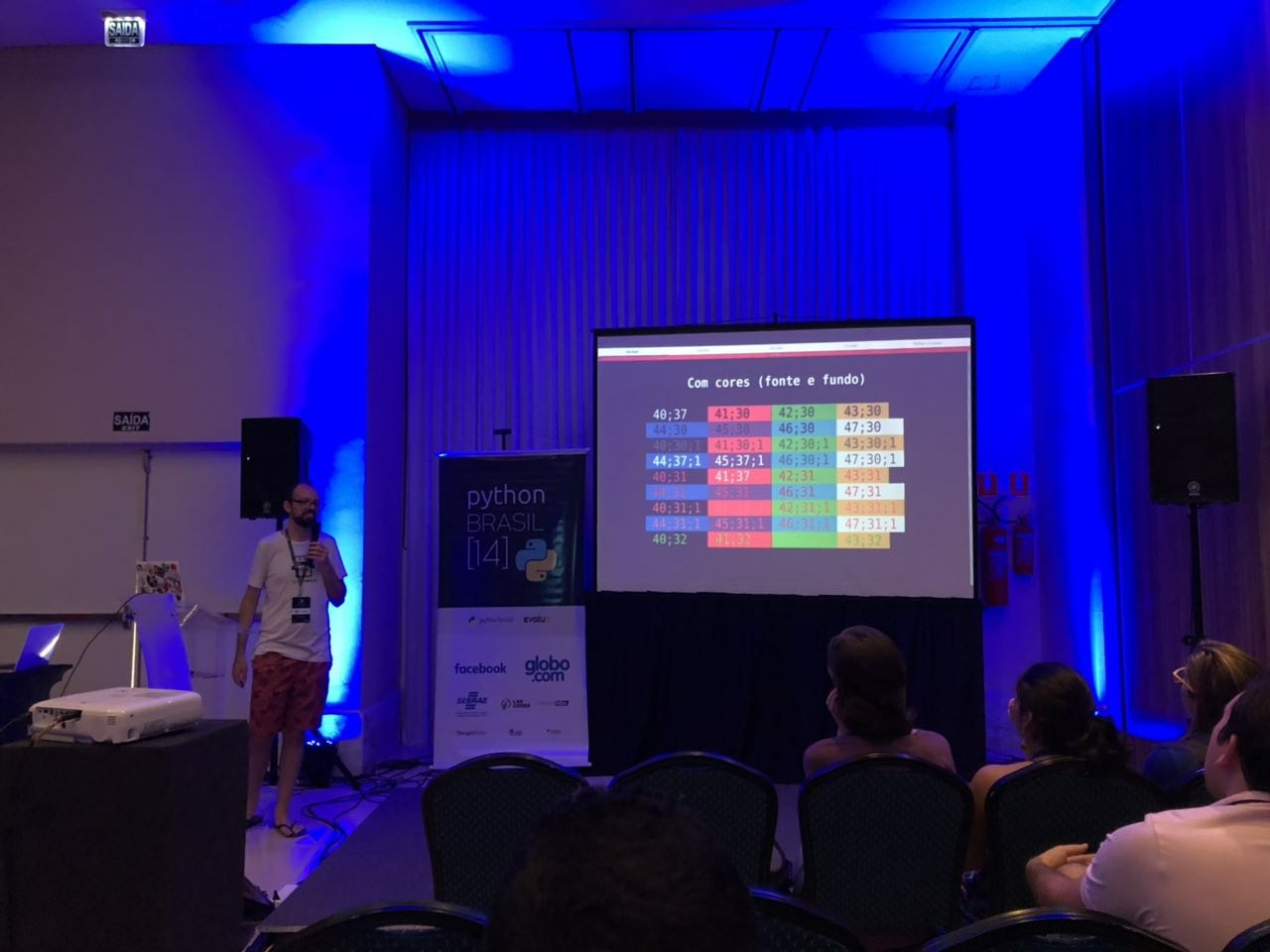 Elias' talk. In the background, slides show a colors table, to use in the terminal