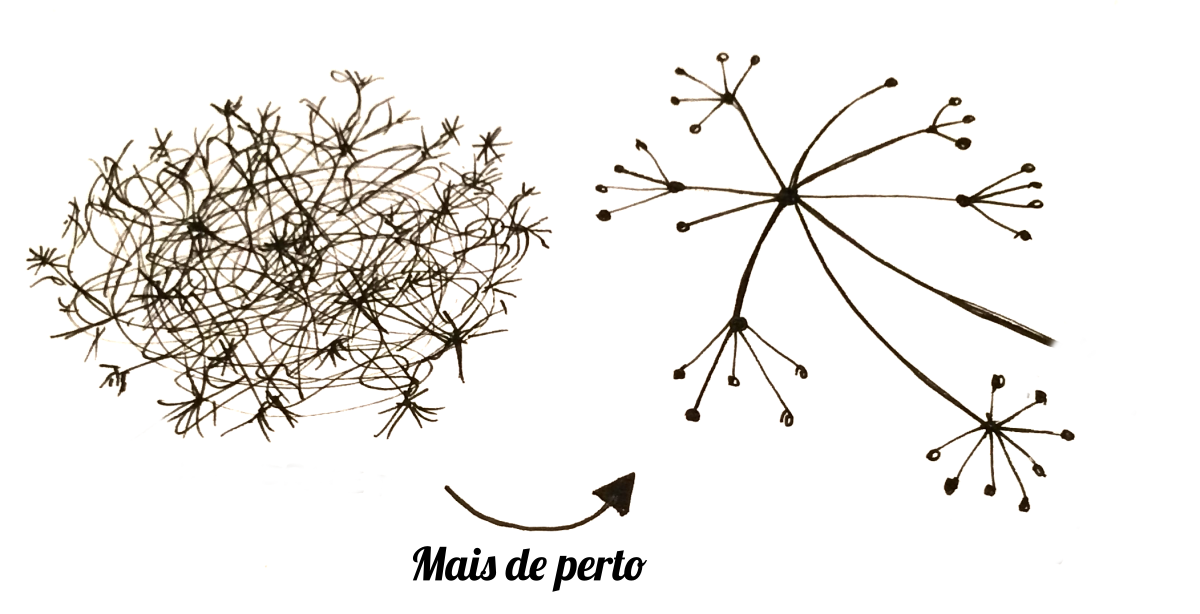 um emaranhado de conexões que simula a estrutura da internet